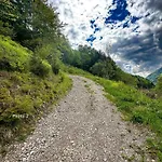 St Bernard * Saint-Jean-dʼAulps