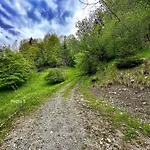Horská chata St Bernard *