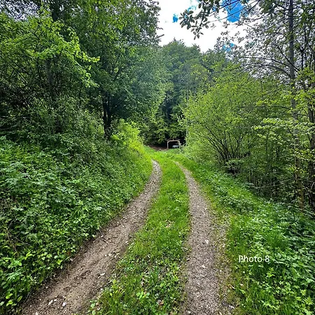 St Bernard Σαλέ Saint-Jean-dʼAulps
