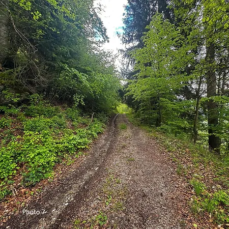 St Bernard Σαλέ Saint-Jean-dʼAulps