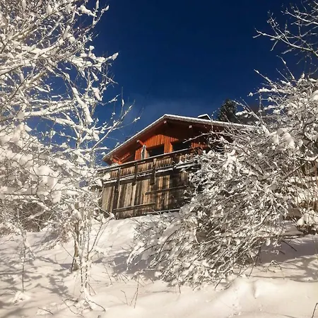 St Bernard Saint-Jean-dʼAulps